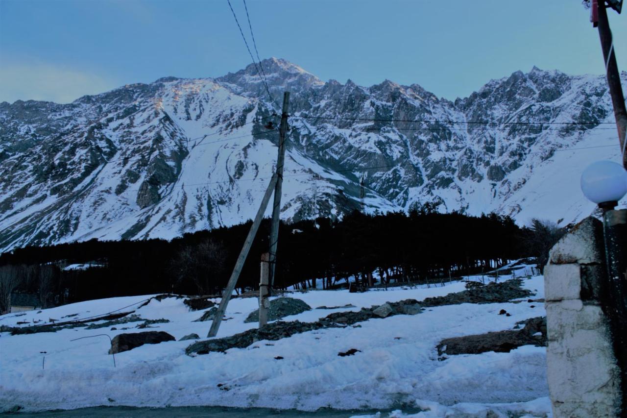 Hotel NOA Kazbegi Buitenkant foto
