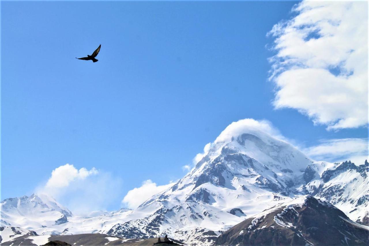 Hotel NOA Kazbegi Buitenkant foto